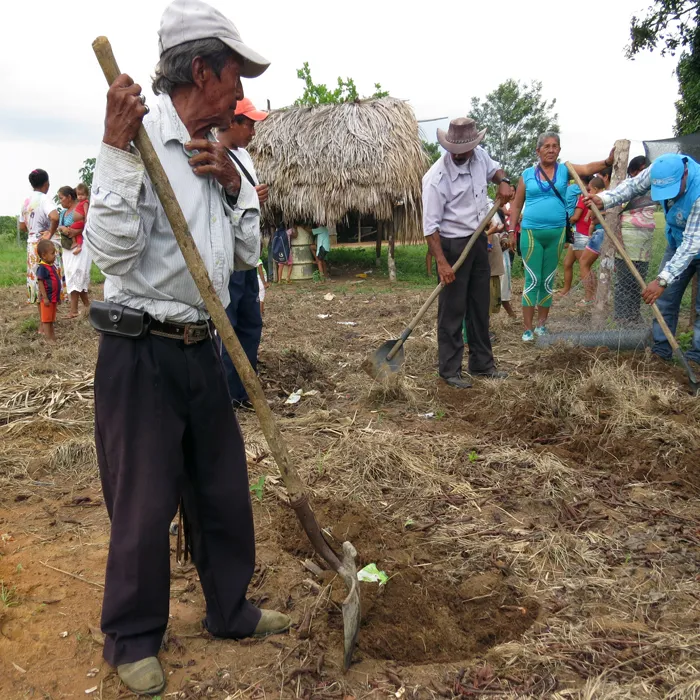 Asistencia Técnica en siembra
