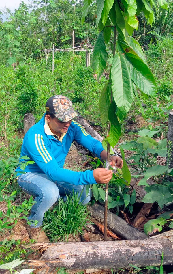 Fundorinoquia - Asistencia técnica agropecuaria